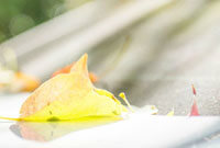 素质的培养 素质的培养