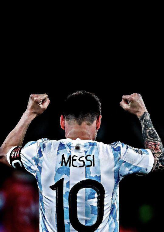 的财务投入 的财务投入