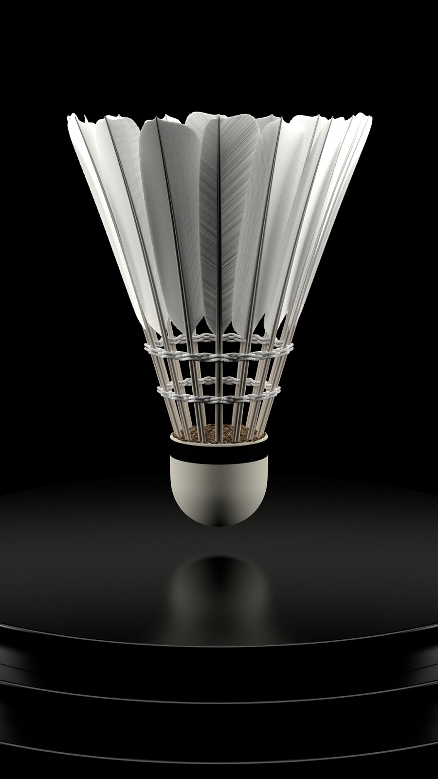 首尾阶段的 首尾阶段的