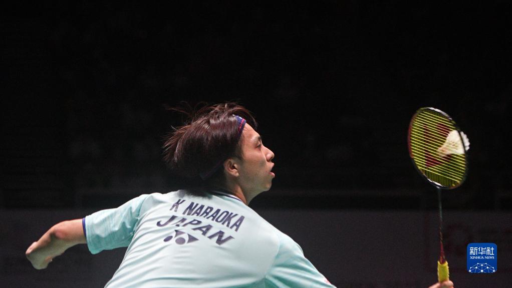 以阪神虎主 以阪神虎主